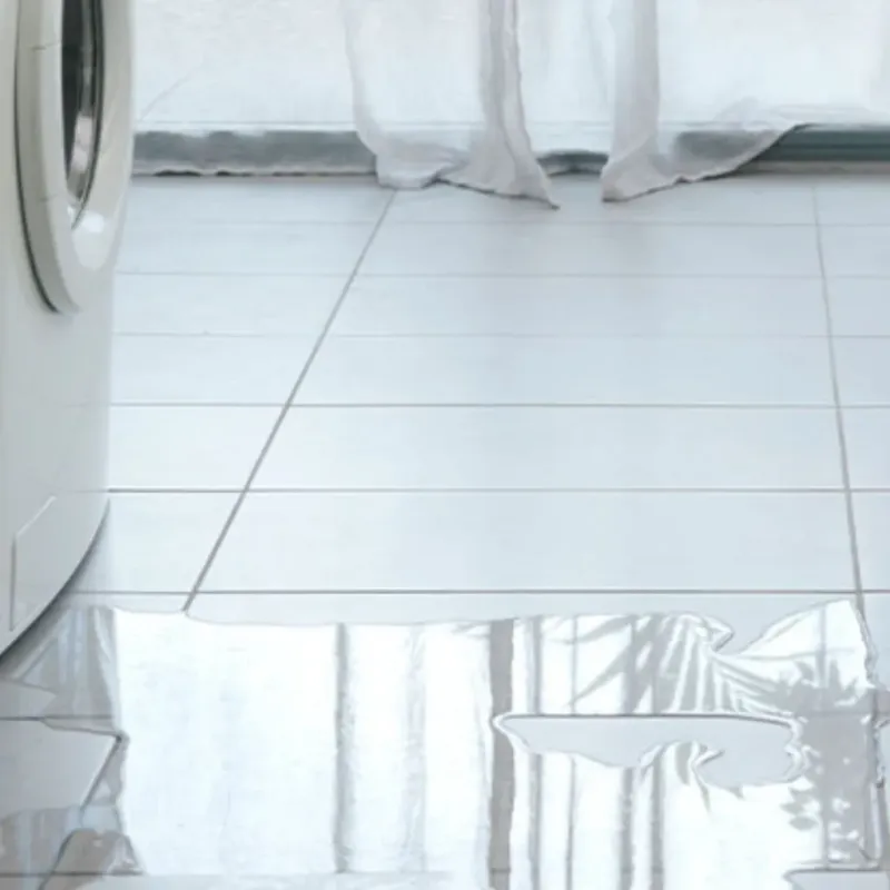 Appliance Leak Cleanup in Laramie, WY