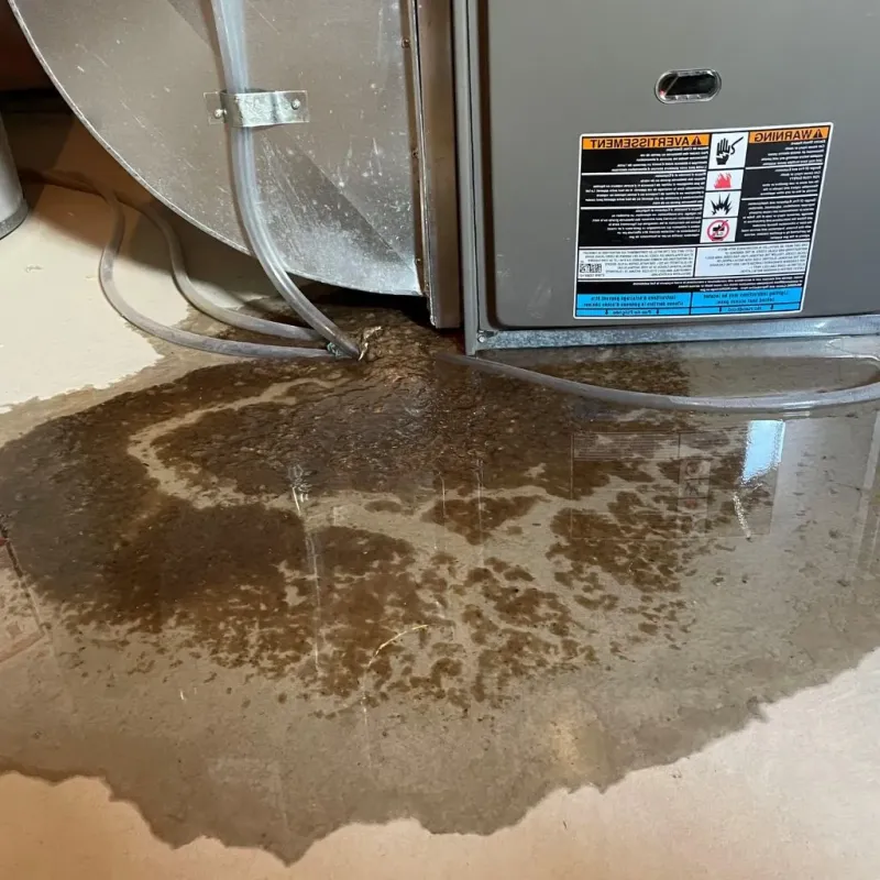 Pipe Burst and Leak Restoration in Laramie, WY